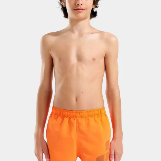 Шорти Arena Beach Short Logo R 006446-370