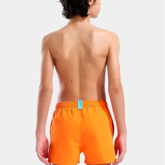 Шорти Arena Beach Short Logo R 006446-370
