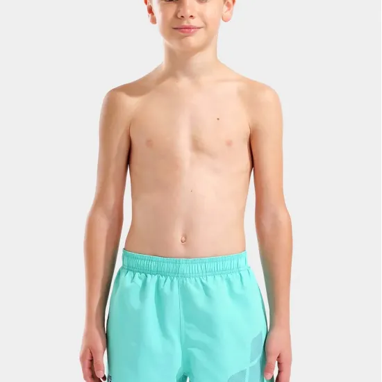 Шорти Arena Beach Short Logo R 006446-890