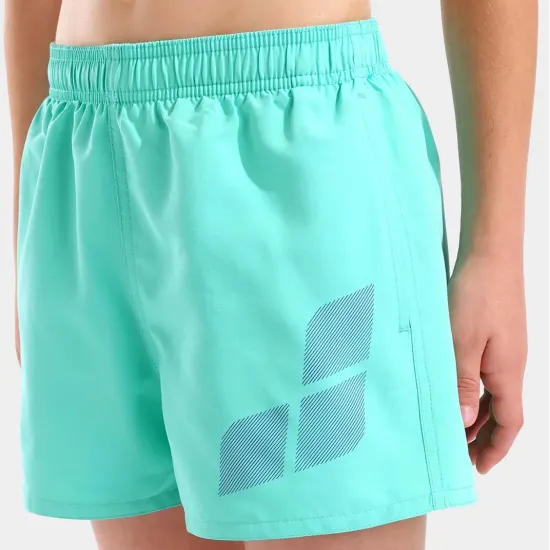 Шорти Arena Beach Short Logo R 006446-890
