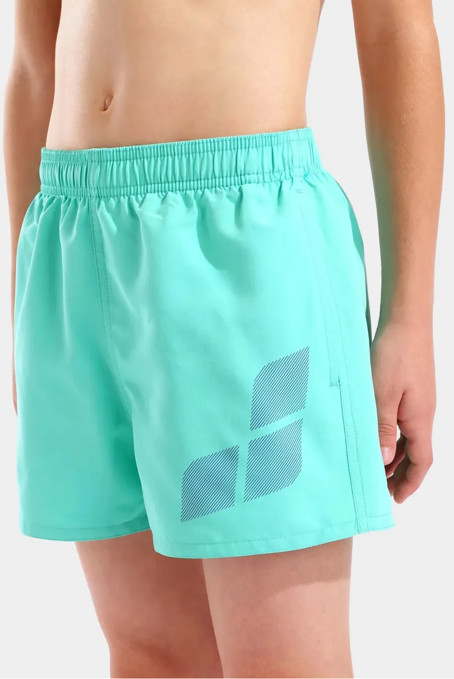 Шорти Arena Beach Short Logo R 006446-890
