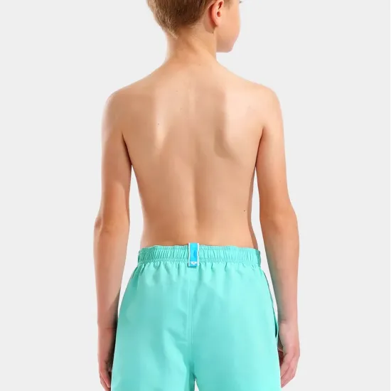 Шорти Arena Beach Short Logo R 006446-890