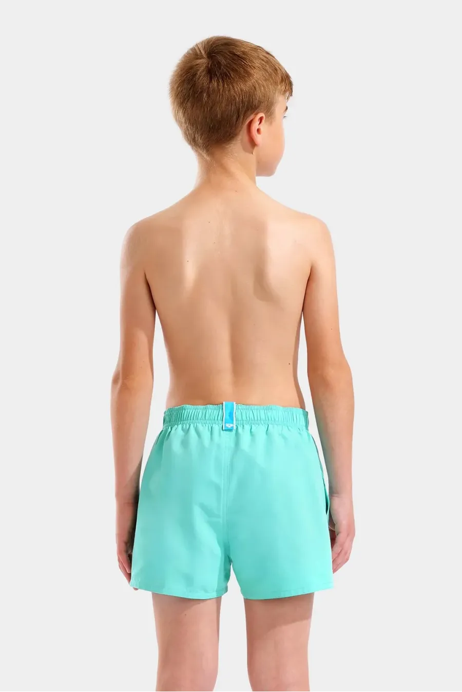 Шорти Arena Beach Short Logo R 006446-890