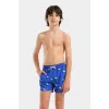 Шорти Arena Water Prints Beach Boxer Ao 007186-830