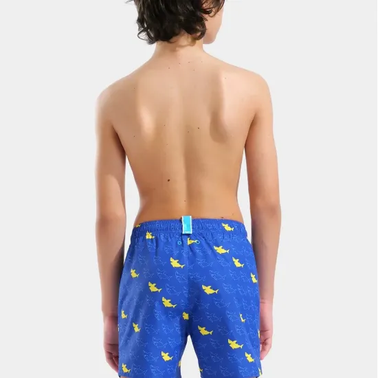 Шорти Arena Water Prints Beach Boxer Ao 007186-830