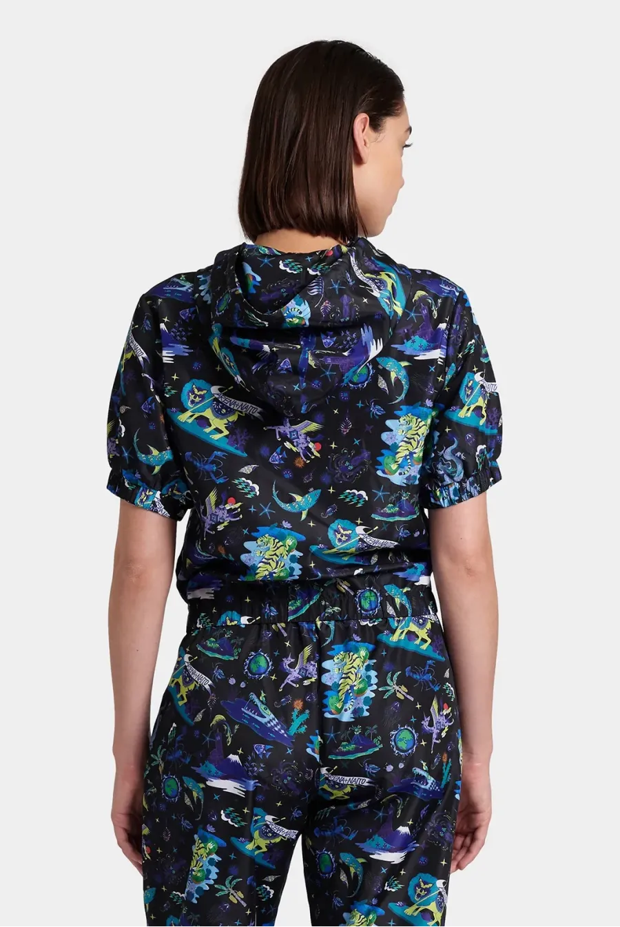 Реглан Arena Fun Planet S/s Hooded Jacket 007536-550