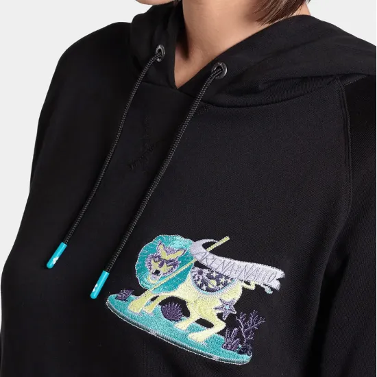 Реглан Arena Fun Planet Hoodie 007557-500
