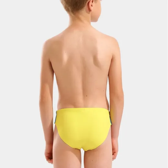 Плавки Arena Swim Briefs Solid 008371-380
