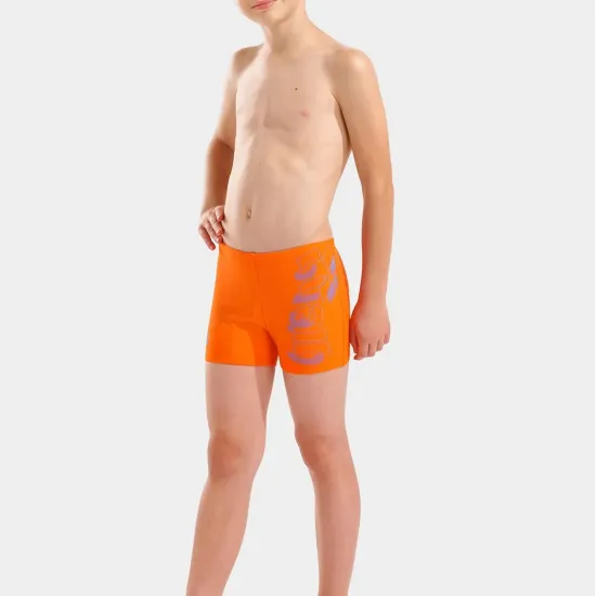 Плавки Arena Tales Swim Short 009087-308