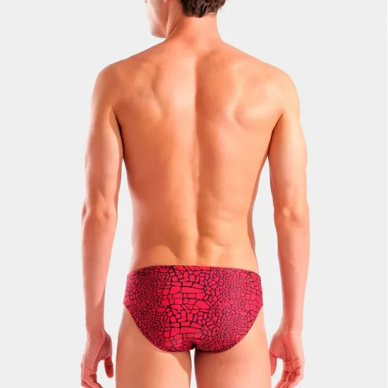 Плавки Arena Snakeskin Swim Briefs 010162-400