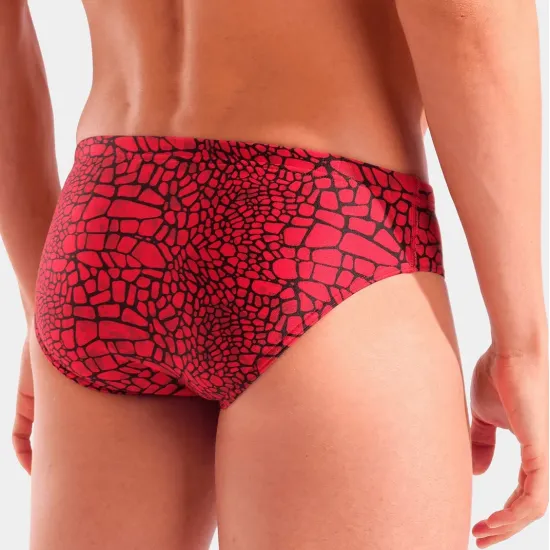 Плавки Arena Snakeskin Swim Briefs 010162-400
