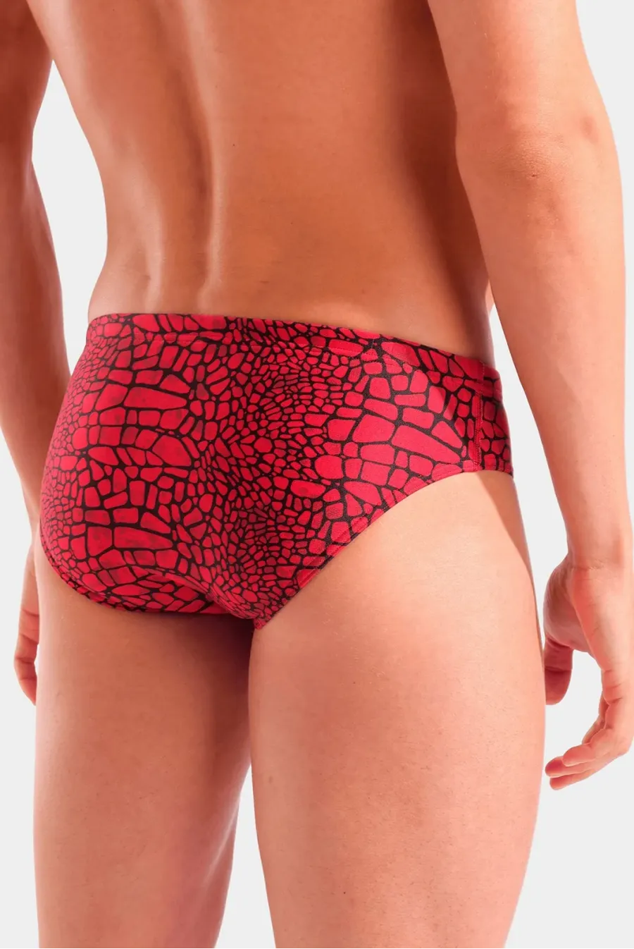 Плавки Arena Snakeskin Swim Briefs 010162-400