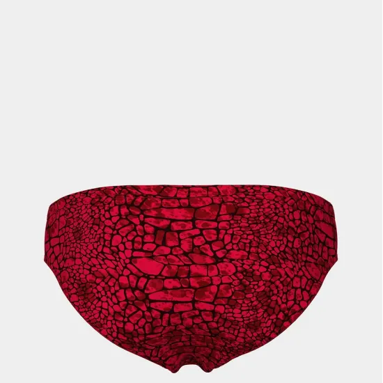 Плавки Arena Snakeskin Swim Briefs 010162-400