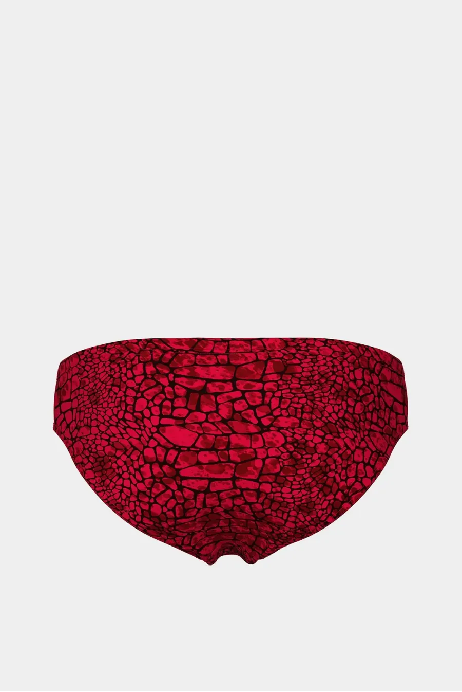 Плавки Arena Snakeskin Swim Briefs 010162-400