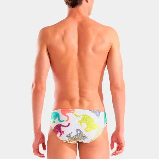 Плавки Arena In The Wild Swim Briefs 010203-150