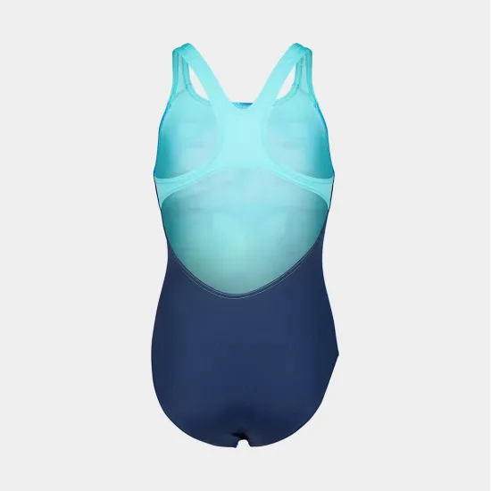 Купальник Arena Spray Paint Swimsuit Swim Pro 010286-740