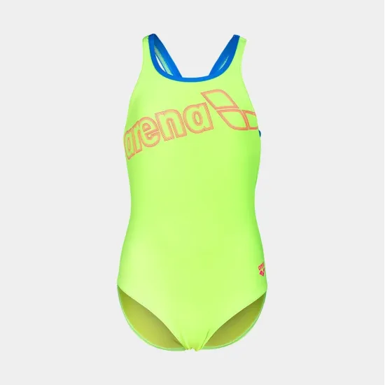 Купальник Arena Logo Swimsuit Swim Pro 010287-880