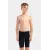 Плавки Arena Lit Logo Swim Jammer 010693-550