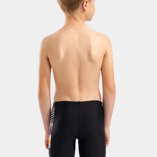 Плавки Arena Lit Logo Swim Jammer 010693-550