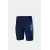 Плавки Arena Lit Logo Swim Jammer 010693-750