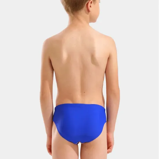 Плавки Arena Sticker Swim Briefs 010695-850