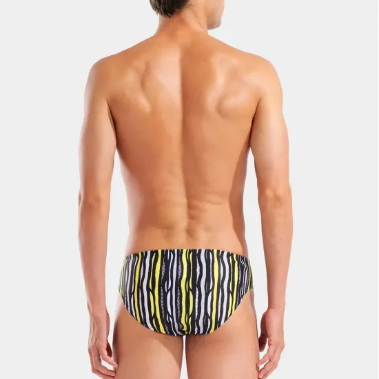 Плавки Arena Stripes Swim Briefs 010760-550