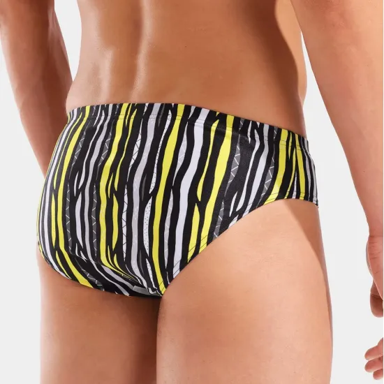 Плавки Arena Stripes Swim Briefs 010760-550