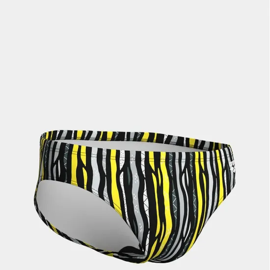Плавки Arena Stripes Swim Briefs 010760-550