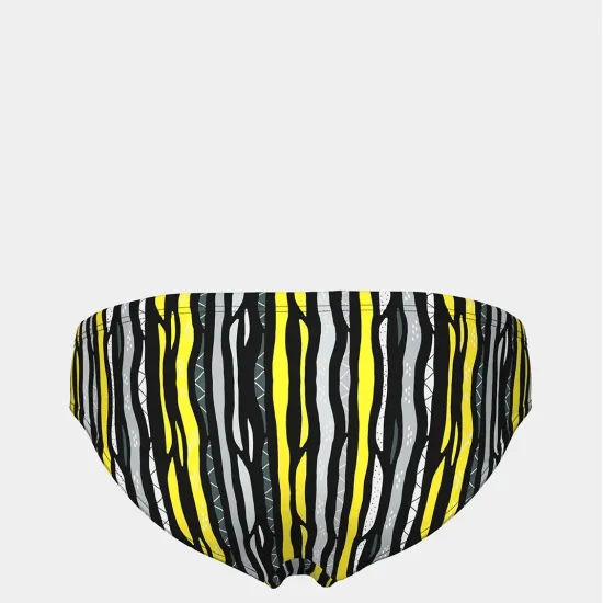 Плавки Arena Stripes Swim Briefs 010760-550