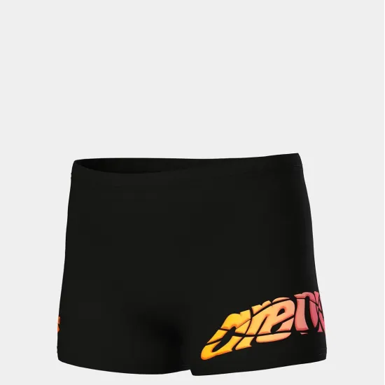 Плавки Arena Lettering Swim Short 010864-500