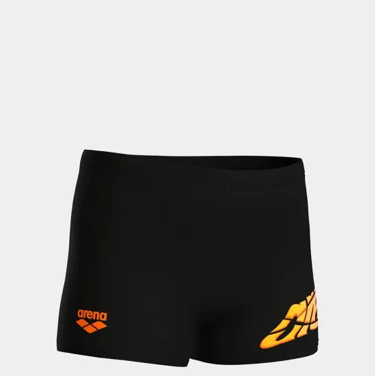 Плавки Arena Lettering Swim Short 010864-500