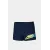 Плавки Arena Lettering Swim Short 010864-700