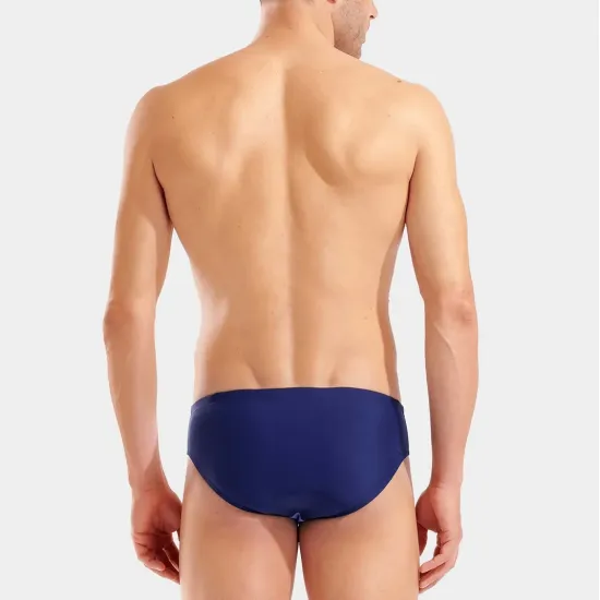 Плавки Arena Stripeflow Swim Briefs 010981-781