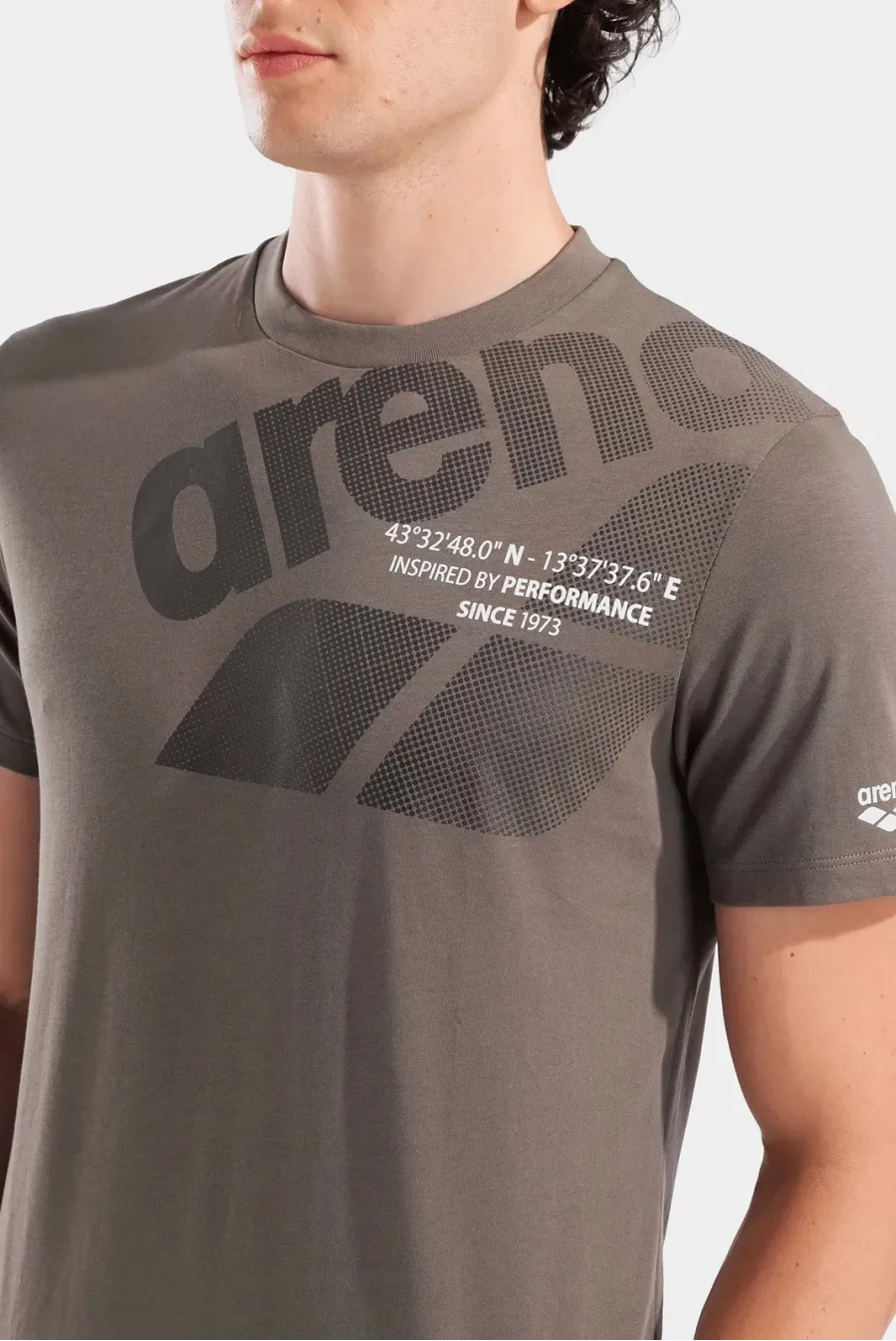 Футболка Arena Logo T-shirt 011000-250