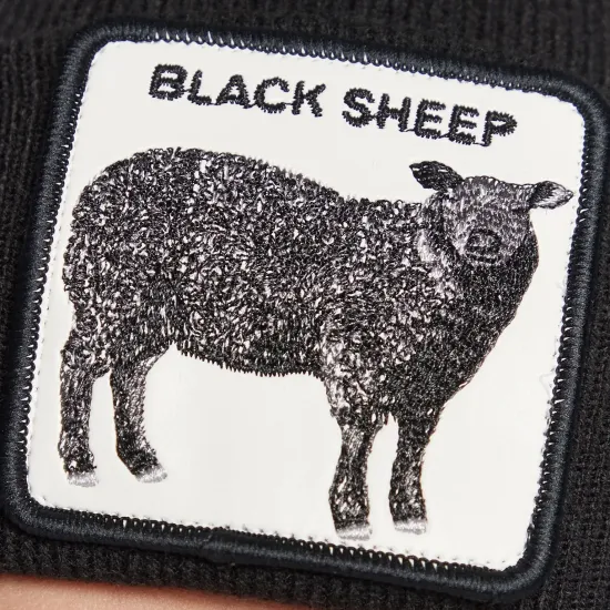 Шапка Goorin Bros Ewe R Hot 107-0036-BLK