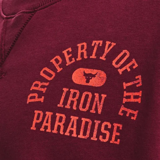 Кофта Under Armour Project Rock Fleece LC Crew 1370546-626