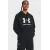 Кофта Under Armour Rival Fleece Logo HD 1379758-001
