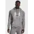 Кофта Under Armour Rival Fleece Logo HD 1379758-025
