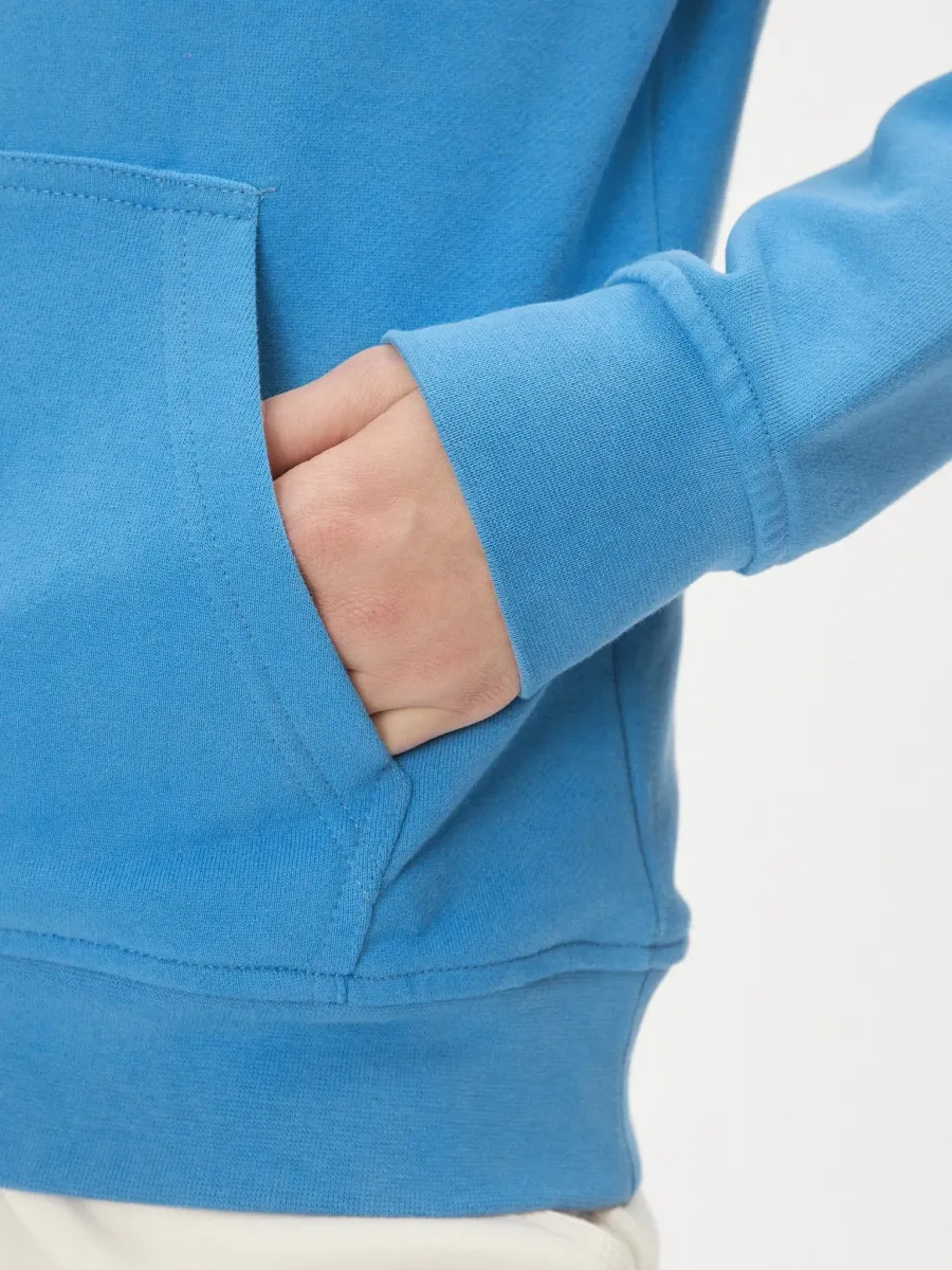 Кофта Helly Hansen Logo 33978-627