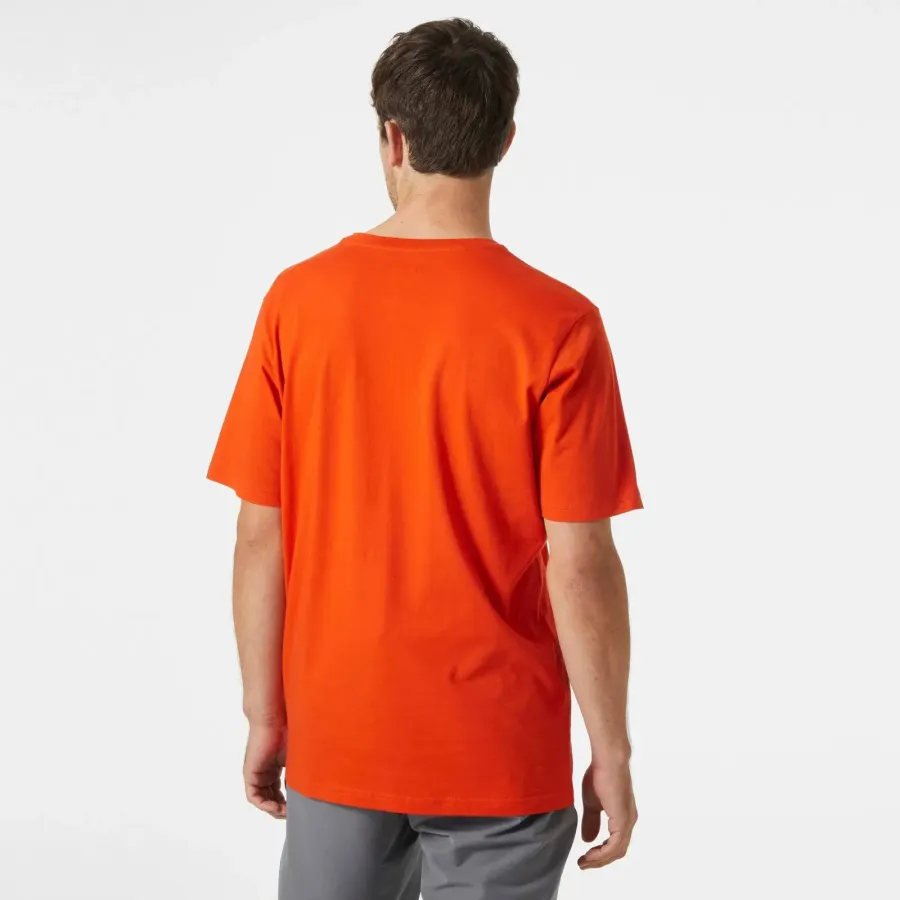 Футболка Helly Hansen Logo 33979-300