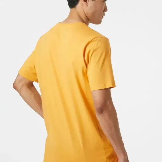 Футболка Helly Hansen Logo 33979-364