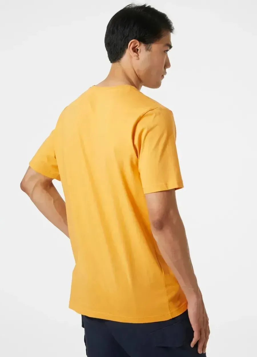 Футболка Helly Hansen Logo 33979-364