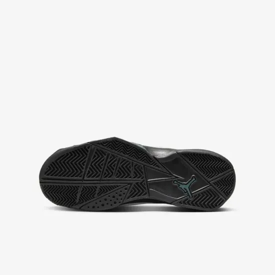 Кросівки Nike Air Jordan True Flight 343795-133