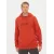Худі Helly Hansen Move Sweat 53701-308
