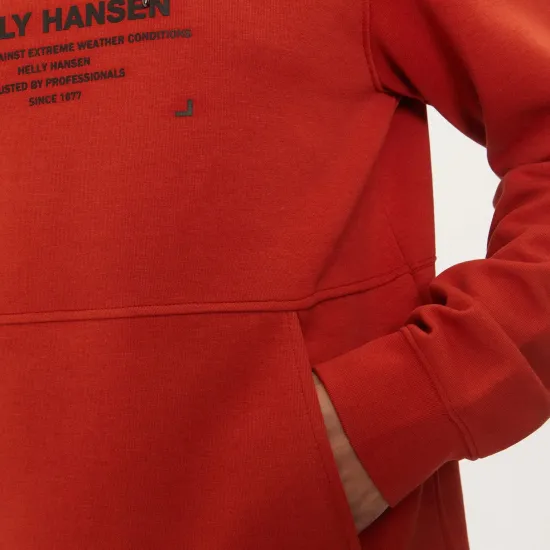 Худі Helly Hansen Move Sweat 53701-308