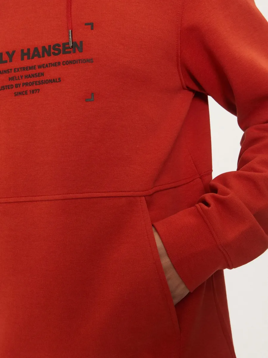 Худі Helly Hansen Move Sweat 53701-308