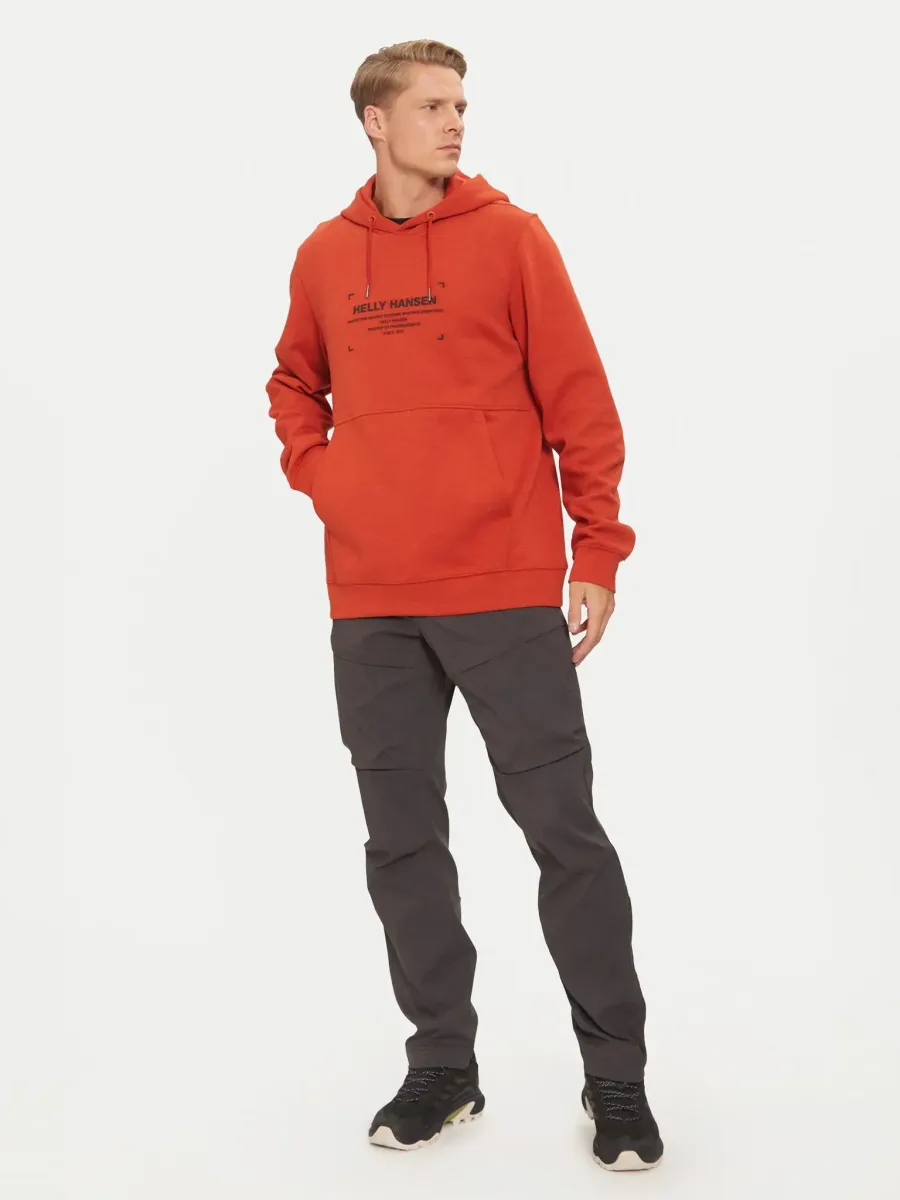 Худі Helly Hansen Move Sweat 53701-308