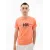 Футболка Helly Hansen Rwb Graphic 53763-284