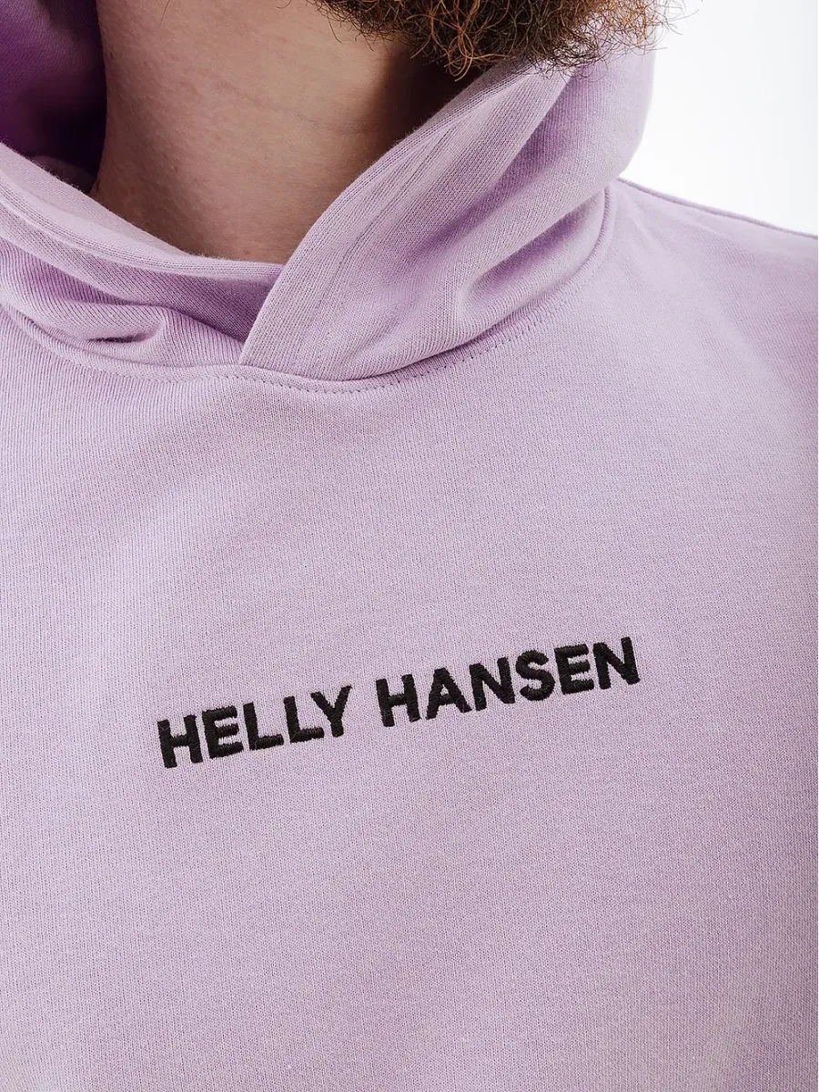 Худі Helly Hansen Core Graphic Sweat 53924-699