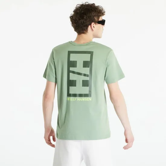 Футболка Helly Hansen Core Graphic 53936-406